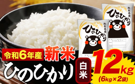 白米 ひのひかり 12kg 令和6年産 熊本県産 ふるさと納税  白米 精米 ひの 米 こめ ふるさとのうぜい ヒノヒカリ コメ お米 おこめ  <11月-12月より出荷予定>