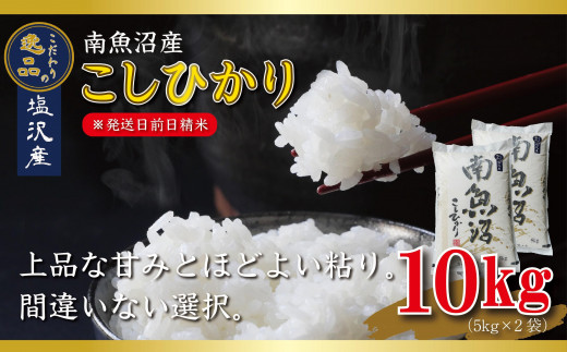 【令和6年産 先行予約】南魚沼産コシヒカリ10kg（5kg×2袋）【塩沢地区】 1430519 - 新潟県南魚沼市