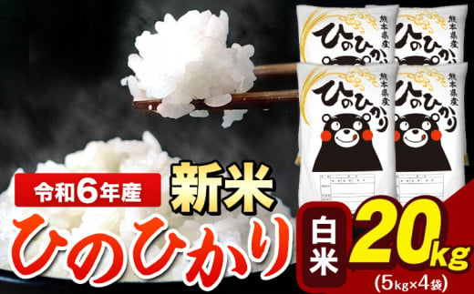 令和6年産 新米 早期先行予約受付中  ひのひかり 白米 20kg 《11月-12月より出荷予定》 5kg×4袋 熊本県産（荒尾市産含む） 米 精米 ひの 1395576 - 熊本県荒尾市