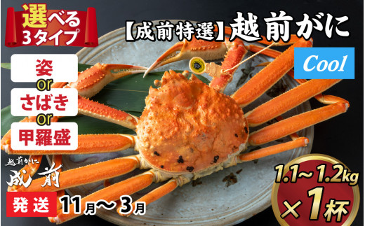 【先行予約】選べる！美味しさ直送【成前特選】越前かに（1.1kg～1.2kg）×１杯【11月～3月発送】捌き  [O-028050_08] 1365515 - 福井県福井市