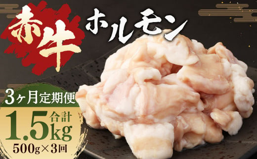 [3ヶ月 定期便]赤牛 ホルモン 500g(250g × 2パック) 合計 1.5kg あか牛 熊本県産 牛肉 牛 牛ホルモン 国産 熊本 肉 もつ モツ もつ鍋 焼き肉 焼肉