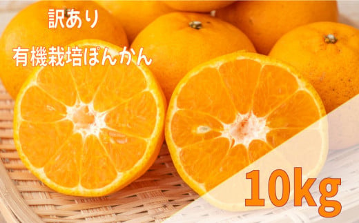 【早期予約 2025年2月上旬より順次発送】 訳あり ぽんかん 10kg サイズ混合 オーガニック 無農薬 防腐剤 不使用 有機 JAS認定 柑橘 みかん 蜜柑 家庭用 TJ010 1431243 - 高知県須崎市