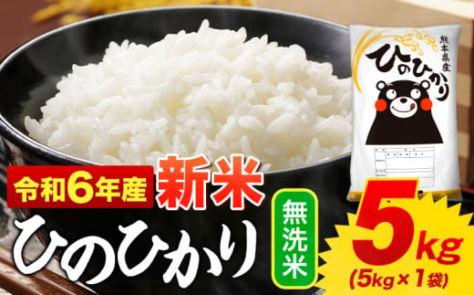 無洗米 ひのひかり 5kg 令和6年産  熊本県産 ふるさと納税 無洗米  精米 ひの 米 こめ ふるさとのうぜい ヒノヒカリ コメ お米 おこめ  <11月-12月より出荷予定>