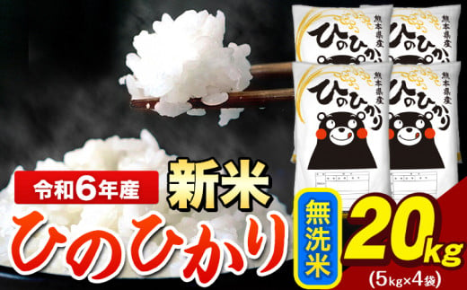 令和6年産 新米 早期先行予約受付中 ひのひかり 無洗米 20kg 《11月-12月より出荷予定》 5kg×4袋 熊本県産（荒尾市産含む） 米 精米 ひの 1395577 - 熊本県荒尾市