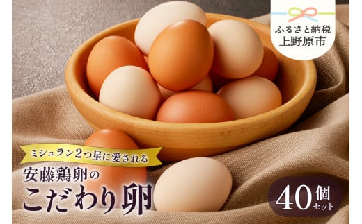 【山梨県産 卵】ミシュランも選ぶ高級卵セット（40個） 241529 - 山梨県上野原市