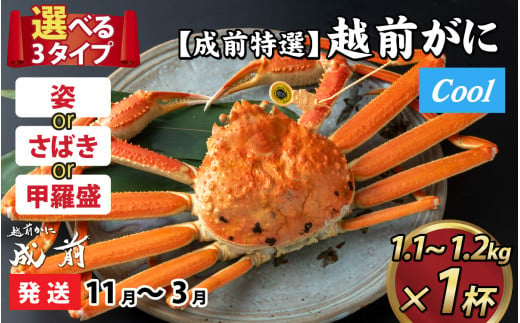 【先行予約】選べる！美味しさ直送【成前特選】越前かに（1.1kg～1.2kg）×１杯【11月～3月発送】姿  [O-028050_06] 1144385 - 福井県福井市