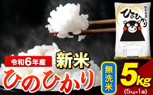 令和6年産 新米 ひのひかり 無洗米 5kg 《7-14営業日以内に出荷予定(土日祝除く)》 5kg×1袋 熊本県産（荒尾市産含む） 米 精米 ひの 1395569 - 熊本県荒尾市