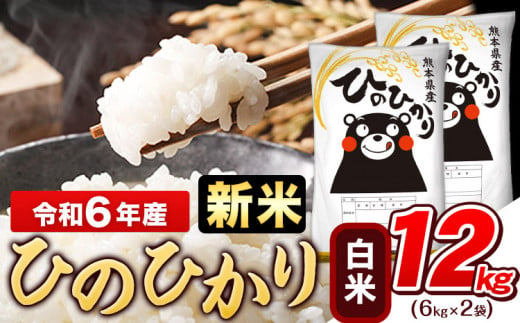 令和6年産新米 早期先行予約受付中 白米 ひのひかり 12kg[11月-12月より出荷予定]令和6年産 熊本県産 ふるさと納税 白米 精米 ひの 米 こめ ふるさとのうぜい ヒノヒカリ コメ お米 おこめ