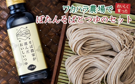北海道新得町のふるさと納税 L-1301 ワカハラ農場でおいしく育ったぼたんそばとつゆのセット