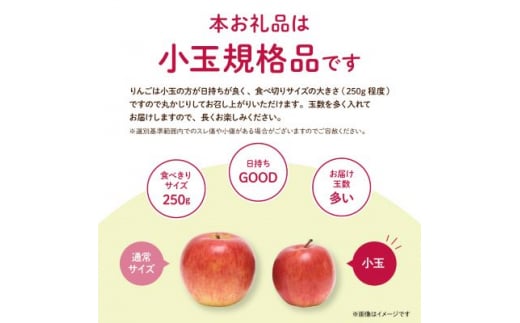 長野県中野市のふるさと納税 JA中野市「サンふじ」ご家庭用「小玉」5kg以上(18～23玉入)_ りんご リンゴ 林檎 ふじ フジ サンフジ サンふじ 小玉 家庭用 フルーツ 果物 くだもの 青果 デザート長野県 中野市 JA 産地直送 産直 濃厚 蜜入り 【1526204】