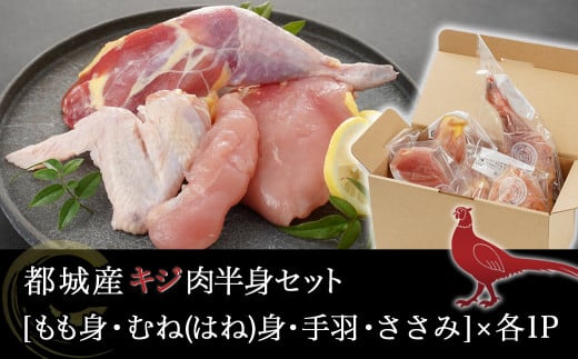 たしろ屋】都城産キジ肉半身セット_AA-9905_(都城市) 都城産 キジ肉 半身セット もも身 むね(はね)身 手羽 ささみ 国鳥 高たんぱく質  食鳥の王様 高級食材 栄養豊か コクのある旨味 さっぱり - 宮崎県都城市｜ふるさとチョイス - ふるさと納税サイト