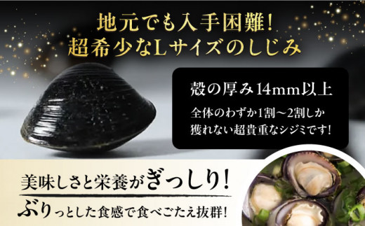 島根県松江市のふるさと納税 宍道湖産ヤマトシジミ(冷凍砂抜き済み)Lサイズ1kg×2袋(2kg) 島根県松江市/宍道湖漁業協同組合 [ALAZ003]