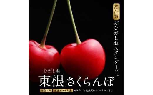 山形県東根市のふるさと納税 【2025年産 先行予約】GI 「東根さくらんぼ」紅秀峰 800g バラ詰め JA園芸部提供  山形県 東根市　hi001-029-1