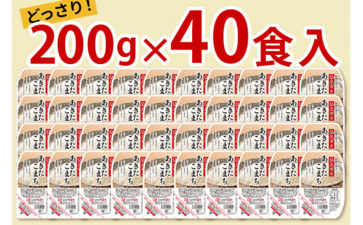 秋田県仙北市のふるさと納税 《納期6ヶ月以内》米 白米 パックご飯 200g×40個《特A産地》秋田県 仙北市産 あきたこまち パックごはん【 パックご飯 パックライス ご飯 ご飯パック ごはんパック パック レトルト 米】