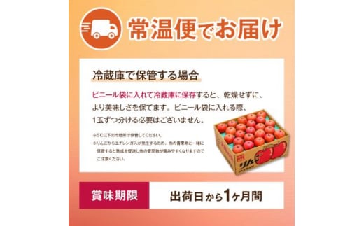 長野県中野市のふるさと納税 JA中野市「サンふじ」ご家庭用「小玉」5kg以上(18～23玉入)_ りんご リンゴ 林檎 ふじ フジ サンフジ サンふじ 小玉 家庭用 フルーツ 果物 くだもの 青果 デザート長野県 中野市 JA 産地直送 産直 濃厚 蜜入り 【1526204】