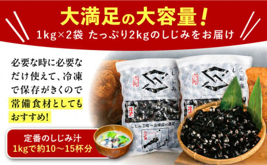 島根県松江市のふるさと納税 宍道湖産ヤマトシジミ(冷凍砂抜き済み)Lサイズ1kg×2袋(2kg) 島根県松江市/宍道湖漁業協同組合 [ALAZ003]