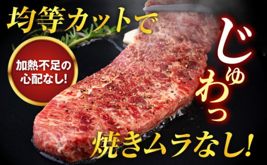 【訳あり】サーロインステーキ 牛肉 1kg