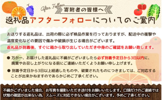 和歌山県太地町のふるさと納税 【2025年5月より順次発送】和歌山県産ブランドいちご「まりひめ」約300g×2パック入り ※2025年5月上旬～5月下旬順次発送予定（お届け日指定不可）【tec965-5】