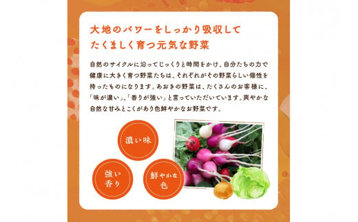 ふるさと納税 【野菜 定期便／4回】京都・直売所直送 「京都・京丹後産 季節の