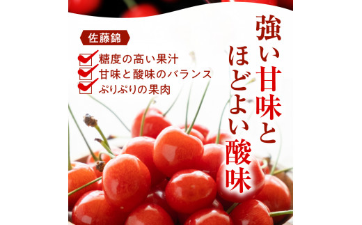 山形県東根市のふるさと納税 【2025年産 先行予約】GI 「東根さくらんぼ」佐藤錦 900g バラ詰め JA園芸部提供  山形県 東根市　hi001-028