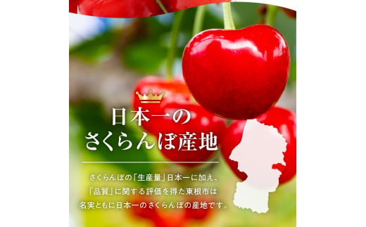 山形県東根市のふるさと納税 【2025年産 先行予約】GI 「東根さくらんぼ」紅秀峰 800g バラ詰め JA園芸部提供  山形県 東根市　hi001-029-1