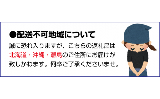 和歌山県太地町のふるさと納税 【2025年5月より順次発送】和歌山県産ブランドいちご「まりひめ」約300g×2パック入り ※2025年5月上旬～5月下旬順次発送予定（お届け日指定不可）【tec965-5】