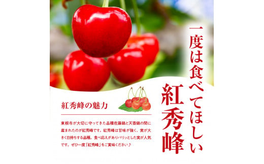 山形県東根市のふるさと納税 【2025年産 先行予約】GI 「東根さくらんぼ」紅秀峰 800g バラ詰め JA園芸部提供  山形県 東根市　hi001-029-1