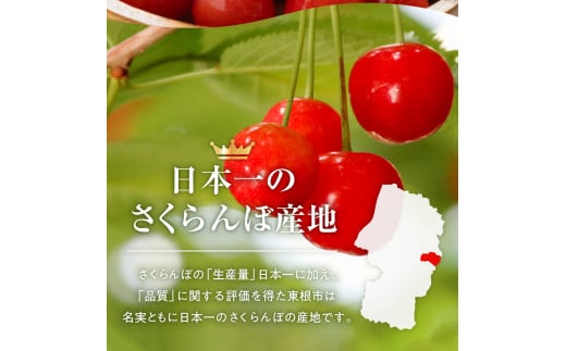 山形県東根市のふるさと納税 【2025年産 先行予約】GI 「東根さくらんぼ」佐藤錦 900g バラ詰め JA園芸部提供  山形県 東根市　hi001-028