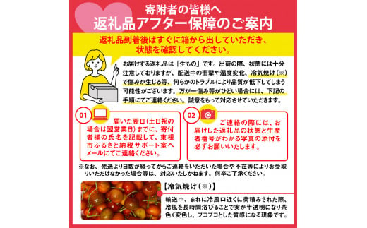 山形県東根市のふるさと納税 【2025年産 先行予約】GI 「東根さくらんぼ」紅秀峰 800g バラ詰め JA園芸部提供  山形県 東根市　hi001-029-1