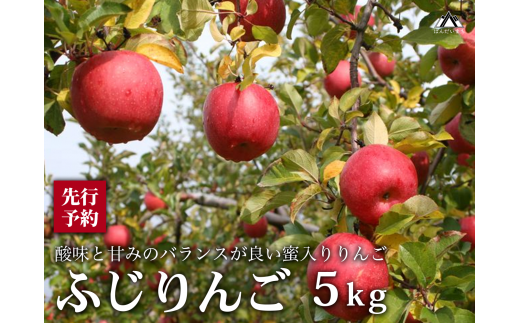 [先行受付]磐梯町産ふじりんご ※2024年12月頃から順次発送