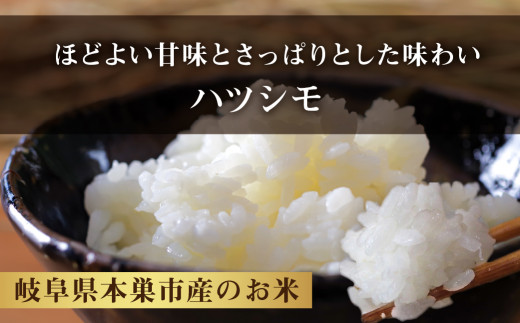 令和6年産 新米 先行予約 ハツシモ 10kg ( 5kg × 2袋) 幻の 米 こめ ごはん 白米 岐阜県産 本巣市 お米 玄米 精米 おにぎり  弁当 さっぱり 和食 寿司 希少 アグリード - 岐阜県本巣市｜ふるさとチョイス - ふるさと納税サイト