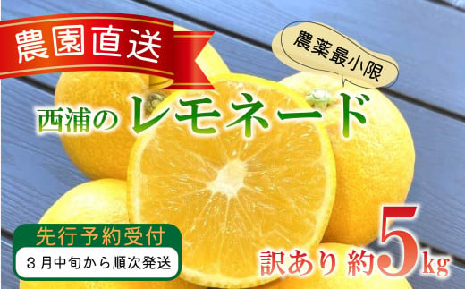 【予約受付】 訳あり 西浦 レモネード 5kg 西浦 蜜柑 柑橘 オレンジ 減農薬 木負観光みかん園 1050092 - 静岡県沼津市