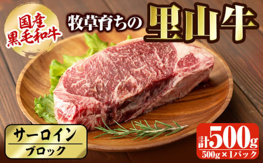 国産黒毛和牛 牧草育ちの里山牛 サーロインブロック 500g 黒毛和牛 和牛 肉 牛肉 国産 サーロイン ブロック 赤身 ステーキ b1-015 575284 - 鹿児島県志布志市