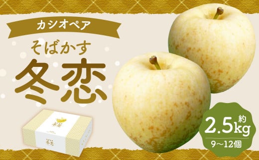 二戸産 カシオペア そばかす冬恋はるか 約2.5kg【2024年12月上旬-下旬発送予定】／林檎 リンゴ フルーツ 果物 はるか お取り寄せ 蜜入り 糖度15度以上 サビあり 1431699 - 岩手県二戸市