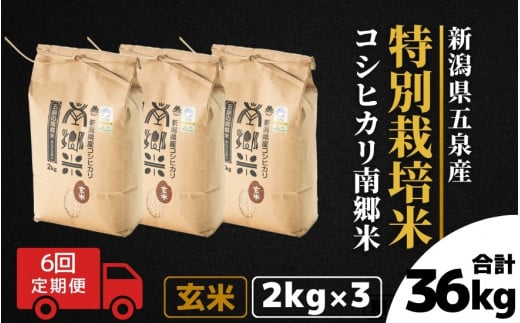 【令和6年産新米先行予約】 〈6回定期便〉 特別栽培米コシヒカリ 「南郷米」 玄米6kg（2kg×3袋）新潟県 五泉市 有限会社ファームみなみの郷  ［2024年9月中旬以降順次発送］ 1433496 - 新潟県五泉市