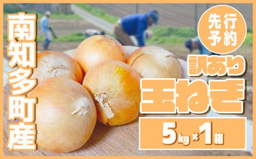 【先行予約 5～6月出荷】 訳あり 玉ねぎ 5kg(1箱)  野菜 オニオン 甘い 玉葱 肉じゃが ハンバーグ 家庭用 大きさ不揃い 先行予約  1497203 - 愛知県南知多町