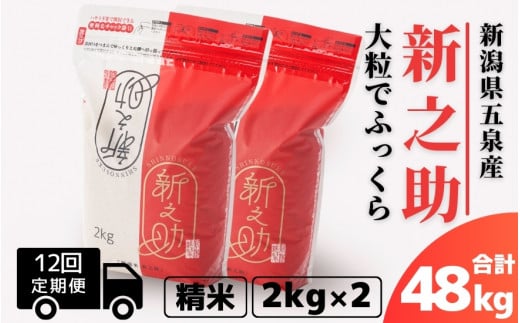 【令和6年産新米先行予約】 〈12回定期便〉 新之助 精米 4kg（2kg×2袋）新潟県 五泉市 有限会社ファームみなみの郷  ［2024年10月上旬以降順次発送］ 1433558 - 新潟県五泉市