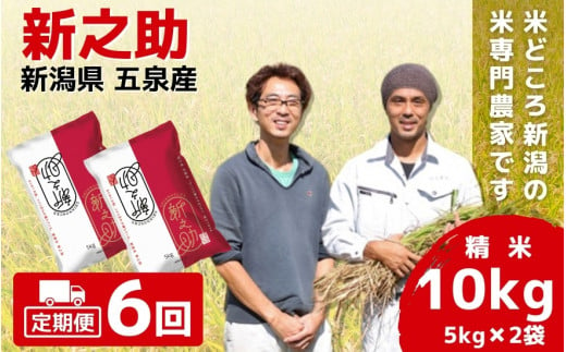 【令和6年産新米先行予約】 〈6回定期便〉 「わくわく農場」の五泉産 精米 新之助 10kg(5kg×2袋) 新潟県 五泉市 わくわく農場 ［2024年10月下旬以降順次発送］ 1433192 - 新潟県五泉市