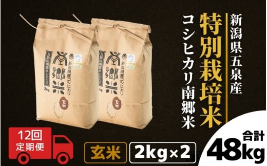 【令和6年産新米先行予約】 〈12回定期便〉 特別栽培米コシヒカリ 「南郷米」 玄米4kg（2kg×2袋）新潟県 五泉市 有限会社ファームみなみの郷  ［2024年9月中旬以降順次発送］ 1433494 - 新潟県五泉市