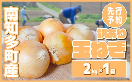 【先行予約 5～6月出荷】 訳あり 玉ねぎ 2kg(1箱)  野菜 オニオン 甘い 玉葱 肉じゃが ハンバーグ 家庭用 大きさ不揃い 先行予約  1497202 - 愛知県南知多町