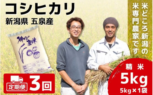 【令和6年産新米先行予約】 〈3回定期便〉 「わくわく農場」の五泉産 精米 コシヒカリ 5kg(5kg×1袋) 新潟県 五泉市 わくわく農場 ［2024年10月中旬以降順次発送］ 1432961 - 新潟県五泉市