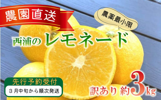 【予約受付】 訳あり 西浦 レモネード 3kg 西浦 蜜柑 柑橘 オレンジ 減農薬 木負観光みかん園  1050093 - 静岡県沼津市