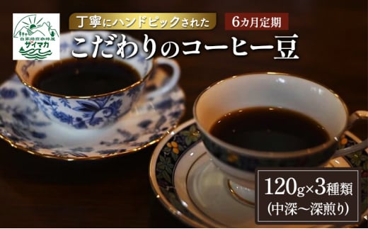 【6ヵ月定期便】丁寧にハンドピックされたこだわりのコーヒー豆120g×3種類(中深～深煎り)【粉】  珈琲 コーヒー豆 珈琲豆 豆 焙煎 自家焙煎 セット 1432687 - 神奈川県茅ヶ崎市