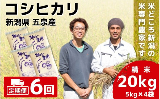 【令和6年産新米】 〈6回定期便〉 「わくわく農場」の五泉産 精米 コシヒカリ 20kg(5kg×4) 新潟県 五泉市 わくわく農場 ［2024年10月中旬以降順次発送］ 1433189 - 新潟県五泉市