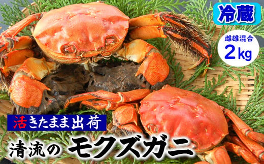 天然　活モクズガニ　約2kg　兵庫県新温泉町 1432069 - 兵庫県新温泉町