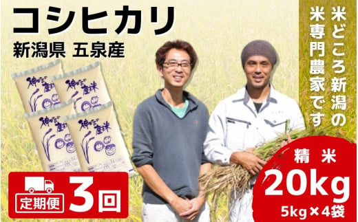 【令和6年産新米先行予約】 〈3回定期便〉 「わくわく農場」の五泉産 精米 コシヒカリ 20kg(5kg×4) 新潟県 五泉市 わくわく農場 ［2024年10月中旬以降順次発送］ 1433188 - 新潟県五泉市