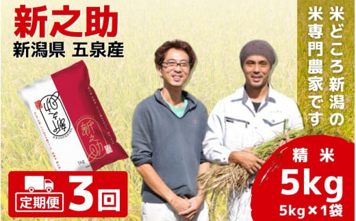 【令和6年産新米先行予約】 〈3回定期便〉 「わくわく農場」の五泉産 精米 新之助 5kg (5kg×1袋) 新潟県 五泉市 わくわく農場 ［2024年10月下旬以降順次発送］ 1432966 - 新潟県五泉市