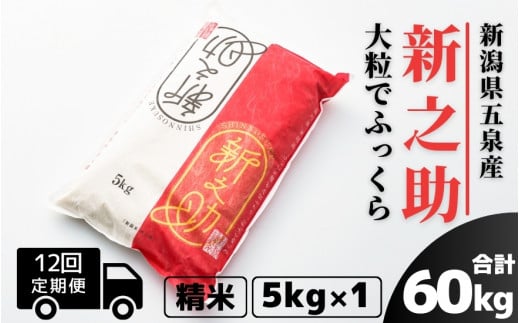 【令和6年産新米先行予約】 〈12回定期便〉 新之助 精米 5kg（5kg×1袋） 新潟県 五泉市 有限会社ファームみなみの郷  ［2024年10月上旬以降順次発送］ 1433590 - 新潟県五泉市