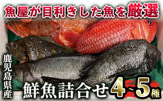 2531 鹿児島県産鮮魚詰合せセット（４～５尾）　海産物 魚介 さしみ 刺身 セット 鯛 生魚  煮魚 カルパッチョ 国産 1431964 - 鹿児島県鹿屋市