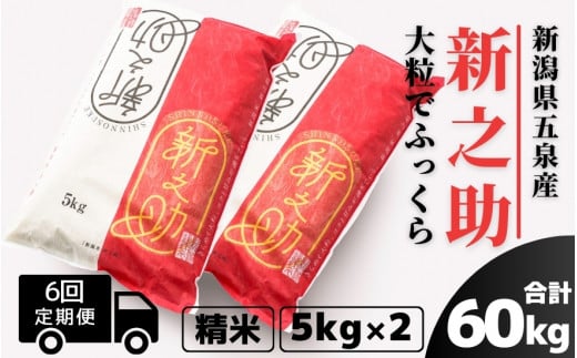 【令和6年産新米先行予約】 〈6回定期便〉 新之助 精米 10kg（5kg×2袋） 新潟県 五泉市 有限会社ファームみなみの郷  ［2024年10月上旬以降順次発送］ 1433595 - 新潟県五泉市